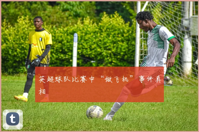 英超球队比赛中“做飞机”事件真相
