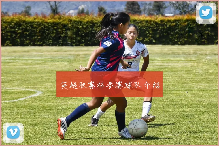 英超联赛杯参赛球队介绍