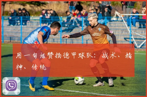 用一句话赞扬德甲球队：战术、精神、传统